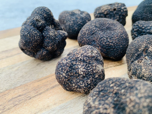 Experience the Nature with Fred Dardenne’s Ecotours