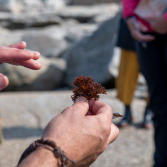 Fred Dardenne | Eco Tour