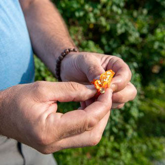 Fred Dardenne | Eco Tour