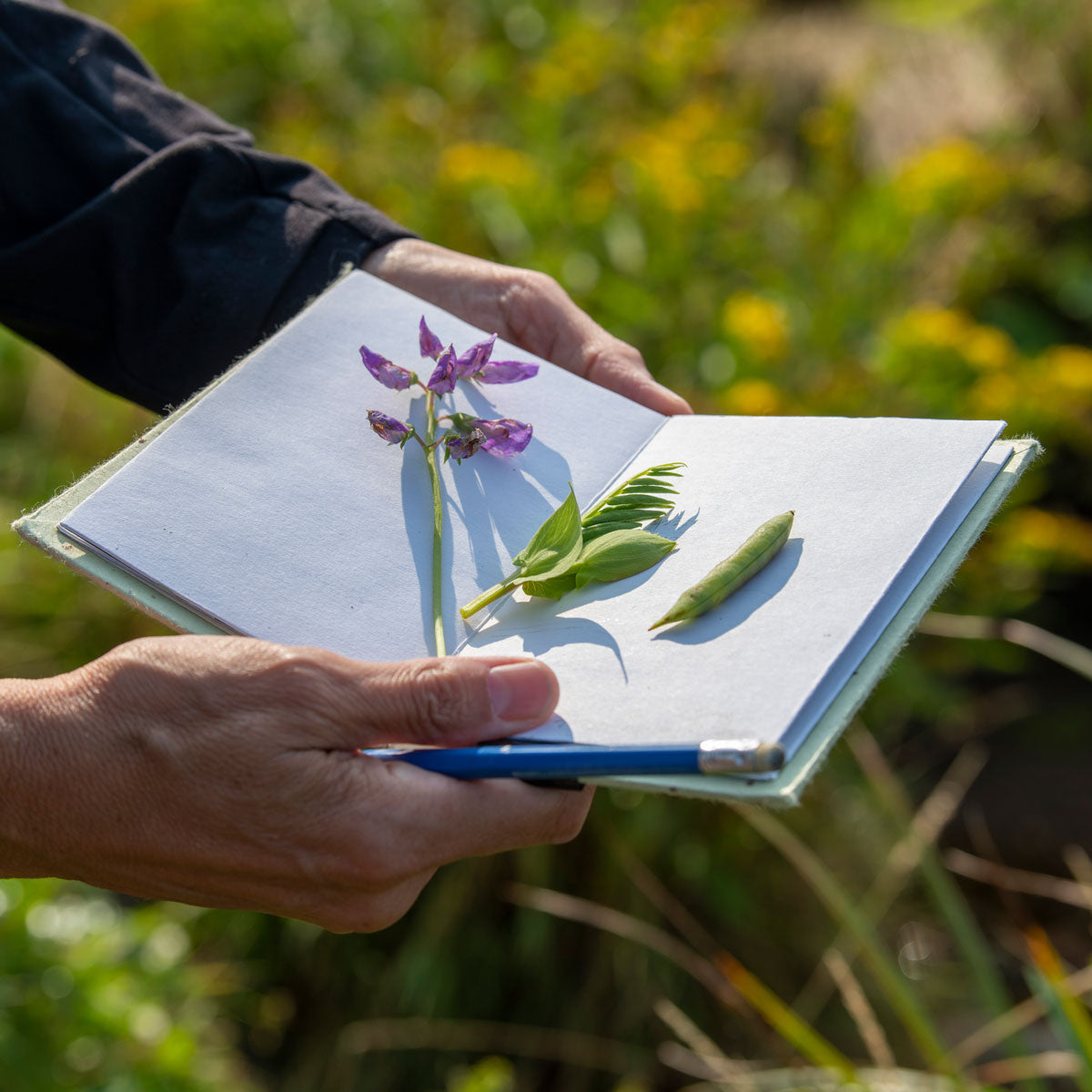 Fred Dardenne | Eco Tour
