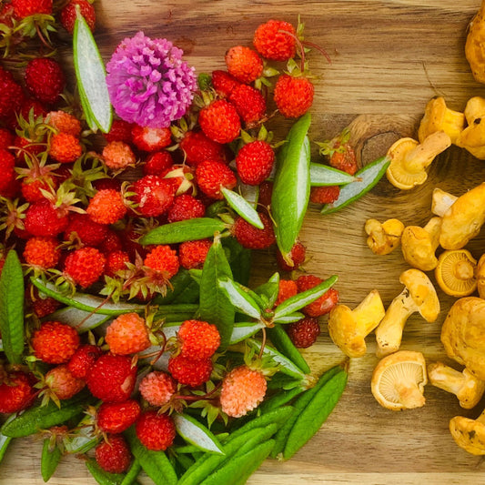 Fred Dardenne | Eco Tour