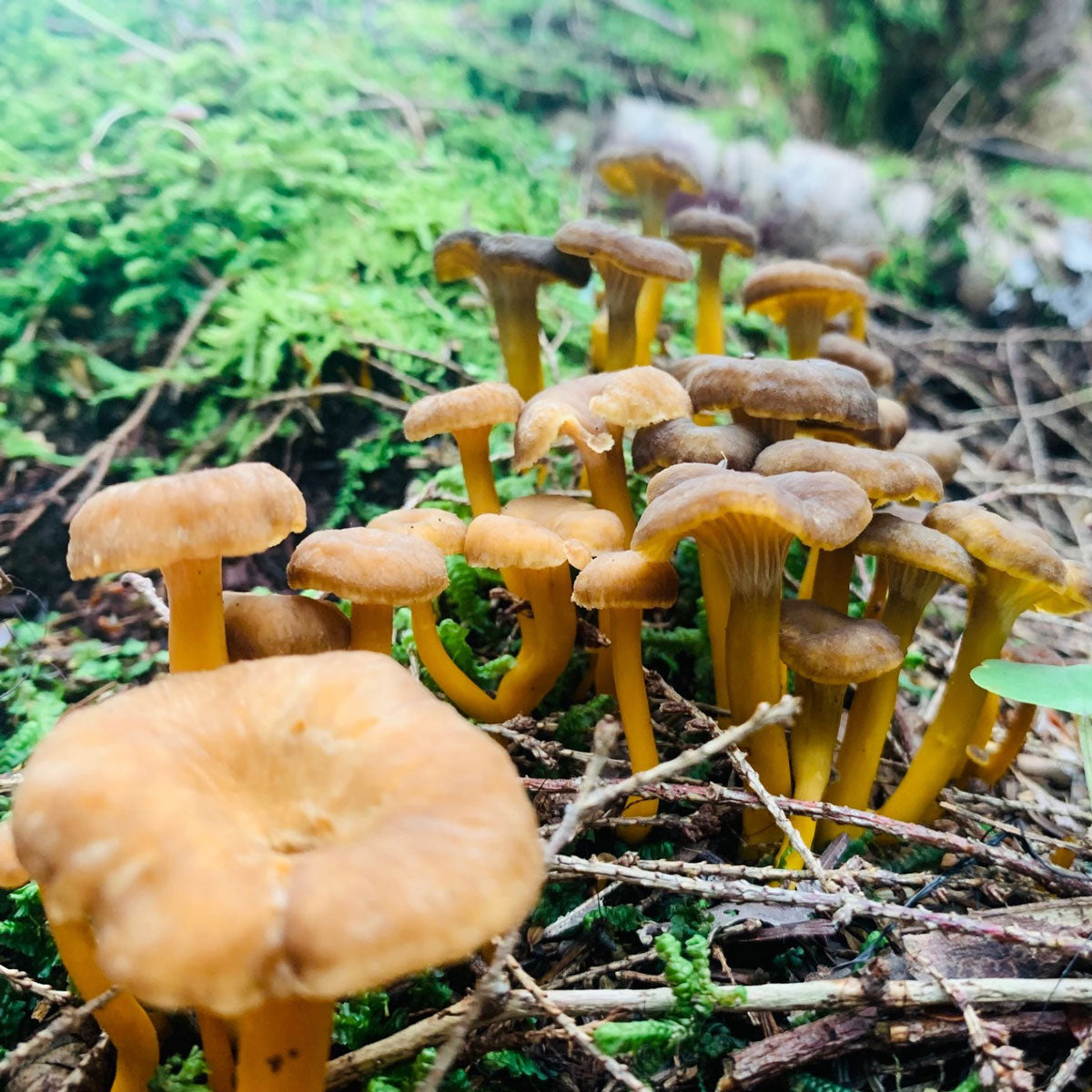 Fred Dardenne | Eco Tour