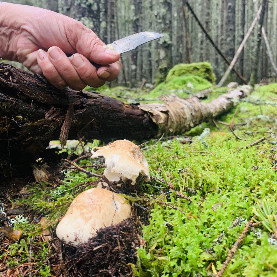 Fred Dardenne | Eco Tour