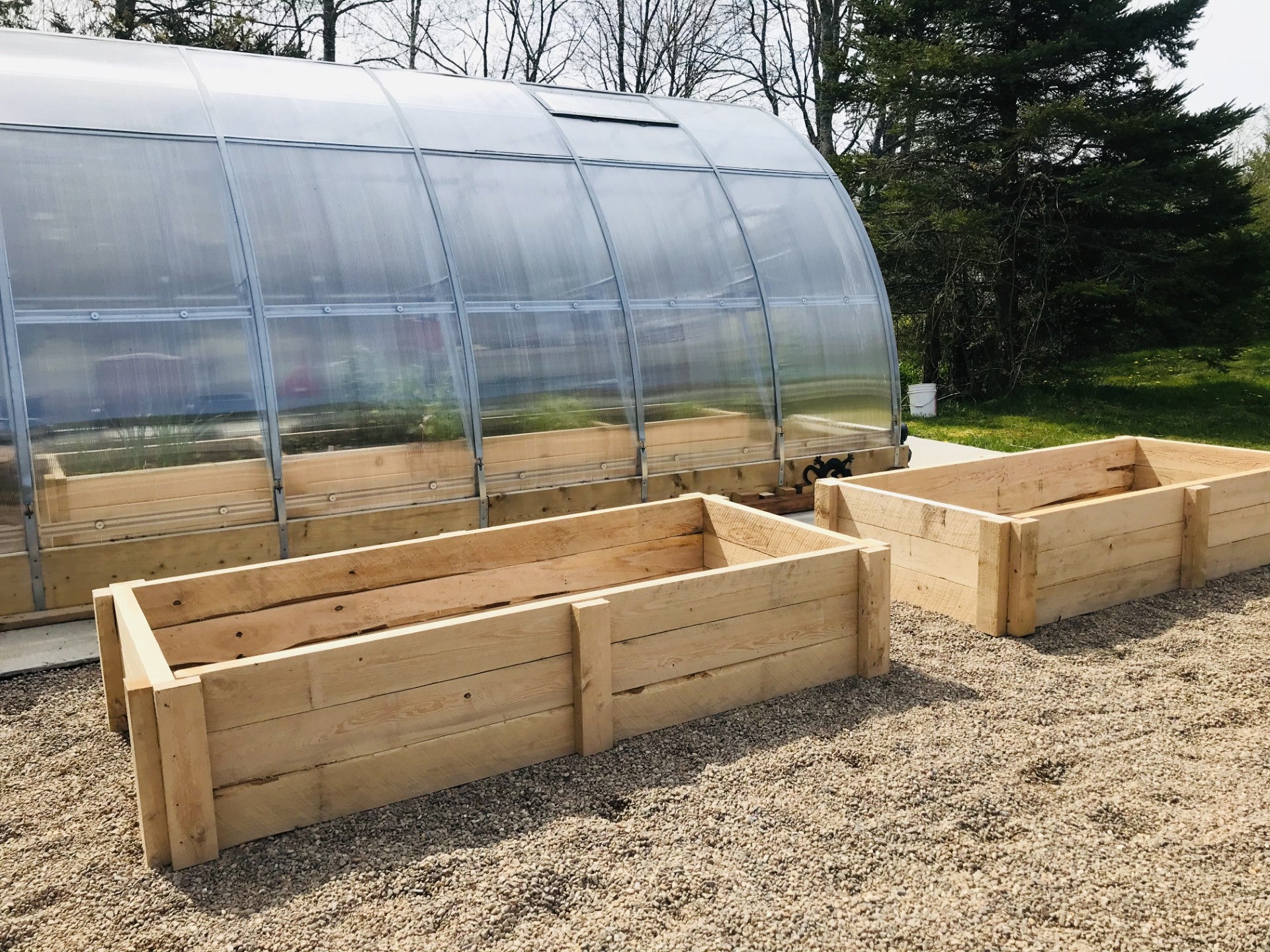 Garden Bed Rough Hemlock