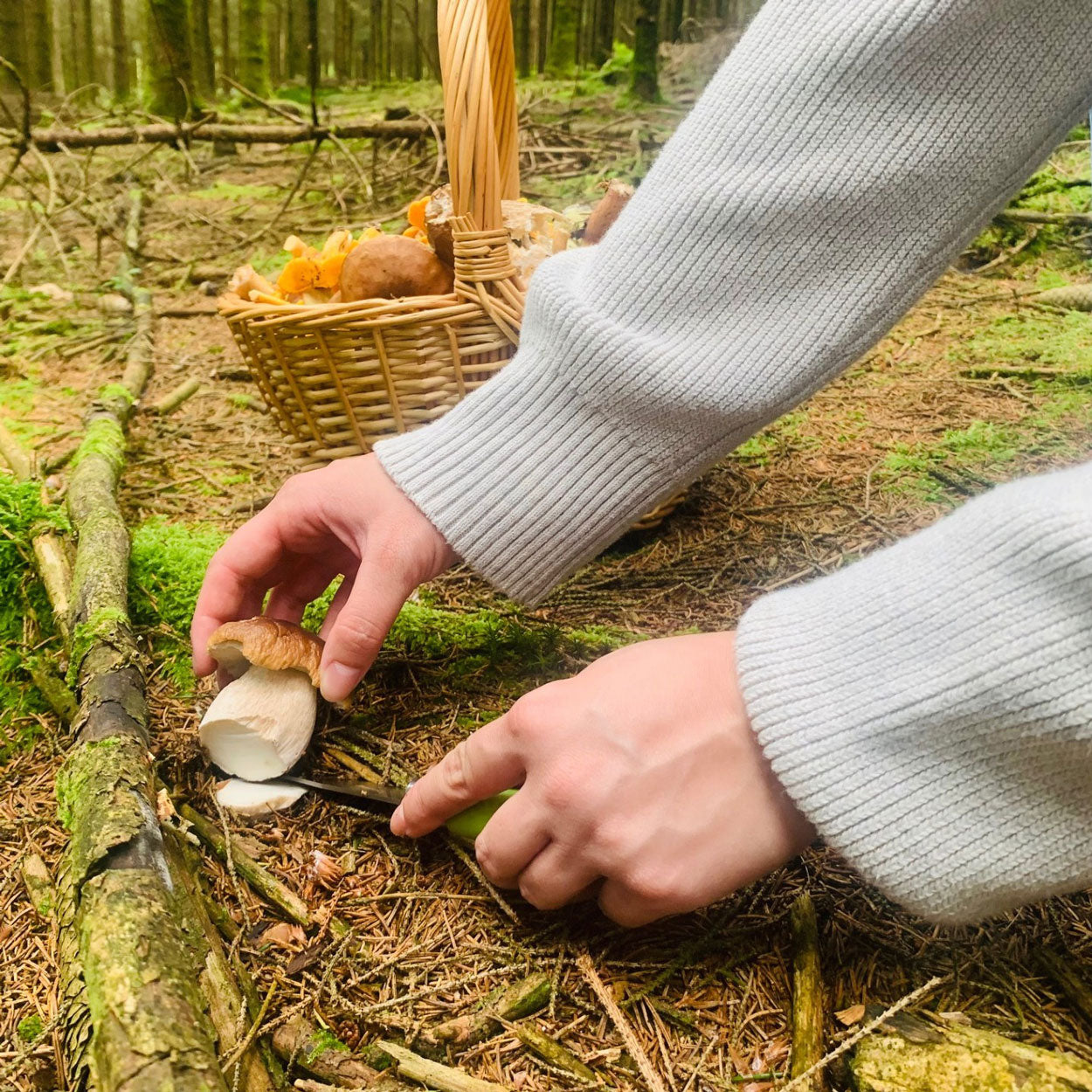 Fred Dardenne | Eco Tour