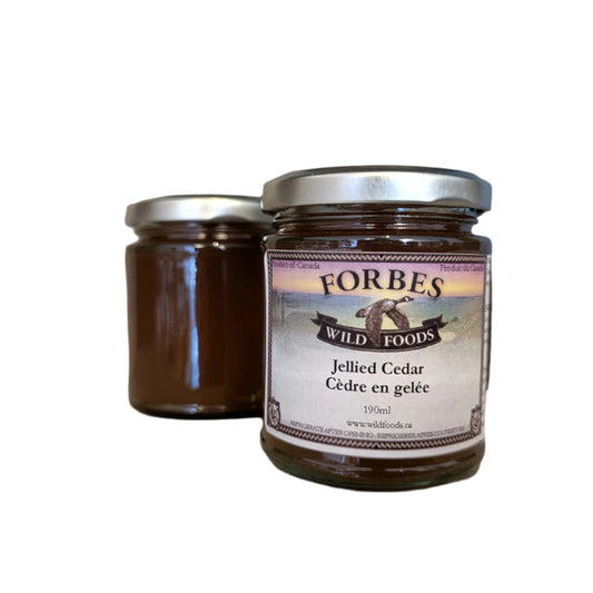 Jellied Cedar | Wild Foods Forbes