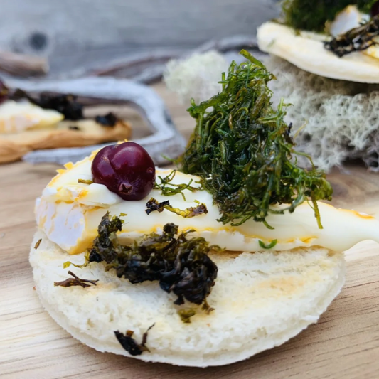 Coastal Ecotour | Lawrencetown