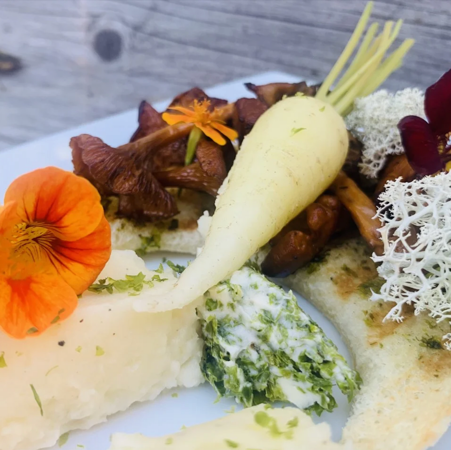 Coastal Ecotour | Lawrencetown 2