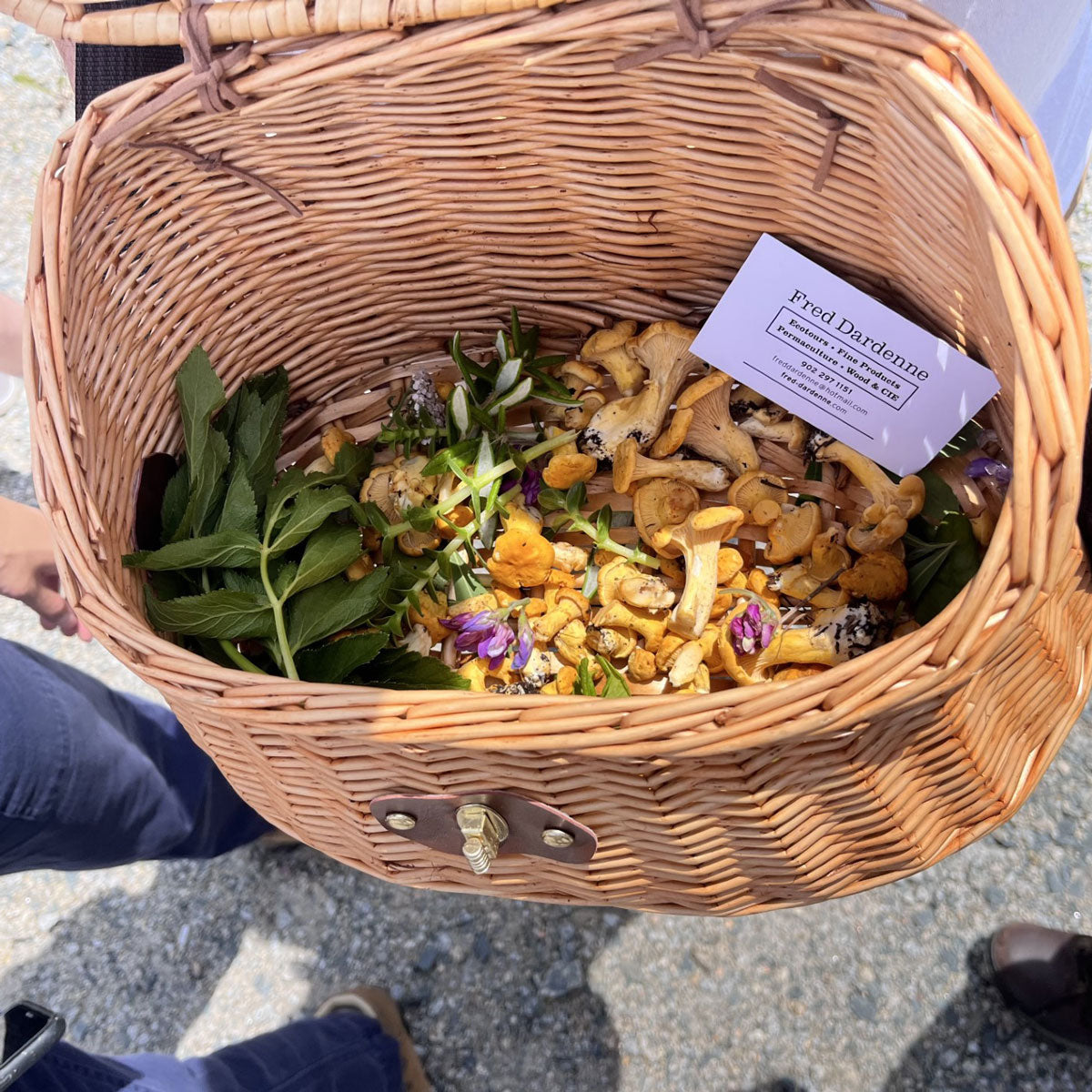 Fred Dardenne | Eco Tour