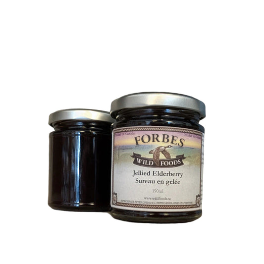 Jellied Elderberry | Wild Foods Forbes