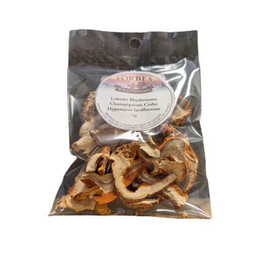 Lobster Mushrooms | Wild Foods Forbes