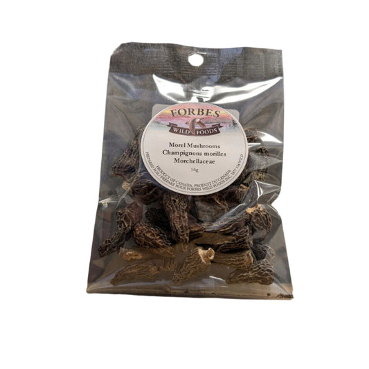 Morel Mushrooms | Wild Foods Forbes