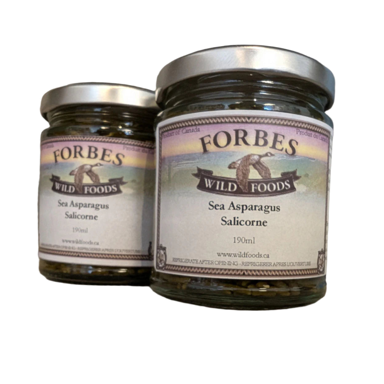 Sea Asparagus | Wild Foods Forbes